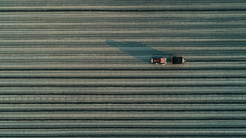 Tarımsal amaçlı örgütlerin derecelendirilmesine ilişkin esaslar düzenlendi
