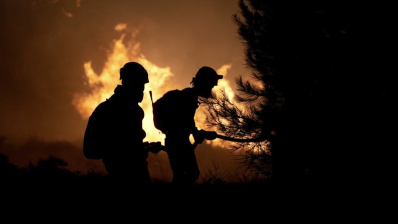 Orman yangınlarıyla mücadeleye yaklaşık 39 bin gönüllü destek oldu