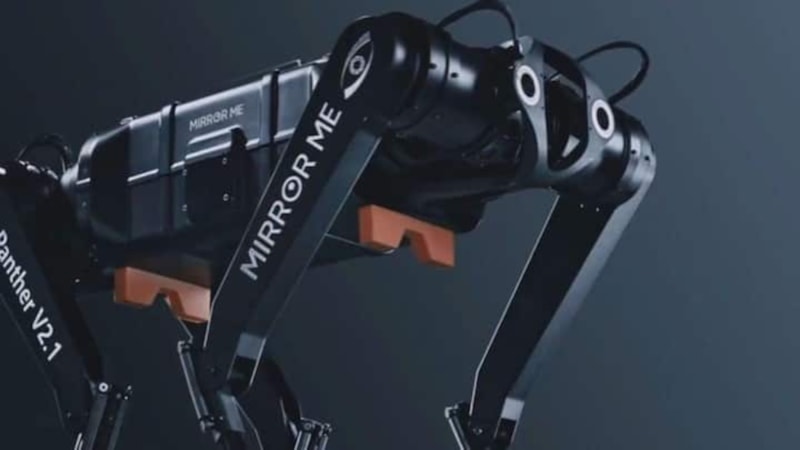 Çinliler bu kez robot köpek sektöründe iddialı: Karşınızda Black Panther II