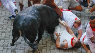 İspanya'da boğa koşularında 8 kişi yaralandı