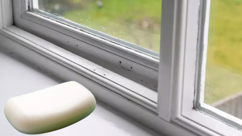 Pencere kenarına bir miktar sürün, sivrisineklerden temelli kurtulun