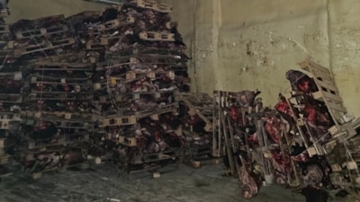 Bursa'da sağlıksız et deposu ortaya çıktı