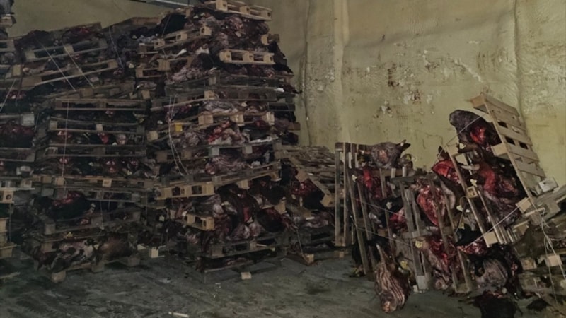 Bursa'da sağlıksız et deposu ortaya çıktı