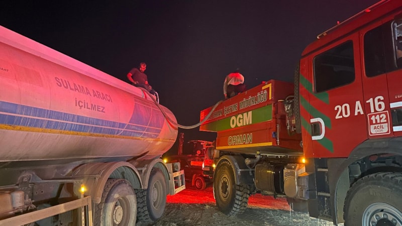 Uşak'ta ormanlık alandaki yangınlar kontrol altına alındı