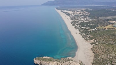 Akdeniz'de deniz suyu sıcaklığı arttı, zehirli balıklar geldi