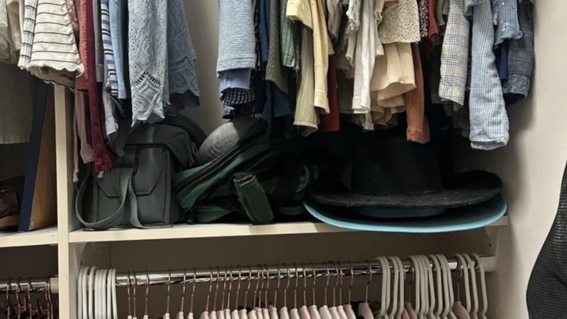 Zeka testi: Gizli kediyi görenlerin IQ'su 120'nin üzerinde çıkıyor