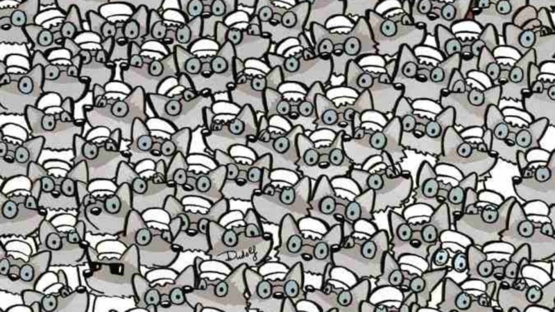 IQ testi: Yaşlı kadını bulmaya cesaret edin! %99'u başarısız oluyor...