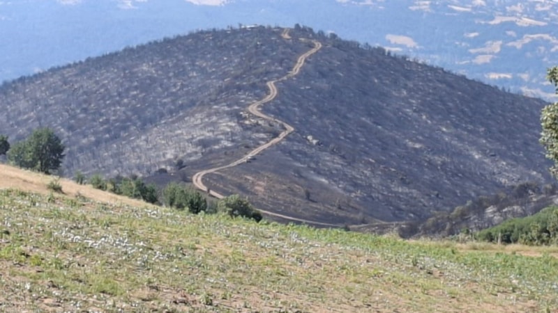 Manisa'da yangından geriye küle dönen evler ve tarlalar kaldı