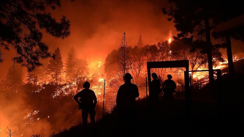 DMM, orman yangınlarının elektrik kaynaklı olduğu iddiasını yalanladı