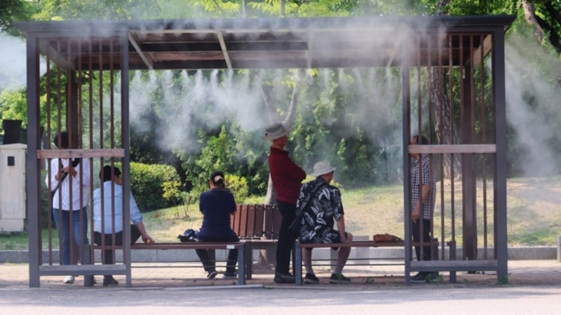Güney Kore'de 7 kişi aşırı sıcaklardan hayatını kaybetti