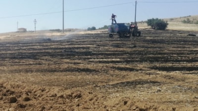 Isparta'da yangın: 30 dönümlük tarla yanarak kül oldu
