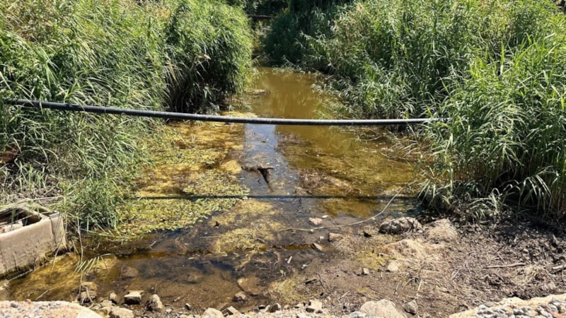 Bursa'da kuraklık tehlikesi: Çakırca Deresi kurudu, gölün çekildiği görüldü