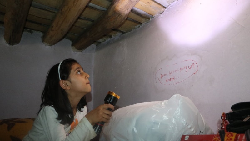 Hakkari'de tek katlı evde yılan paniği