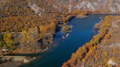 65 yaş üzeri kadınlara jest: O hizmet artık bedava