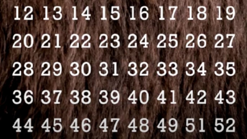 Resimdeki eksik sayı kaçtır? Keskin gözler iş başına...