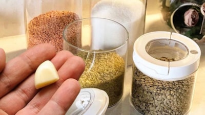 Ne böcek kalıyor ne bir şey! Bakliyat kavanozunun içine ondan atmak yetiyor