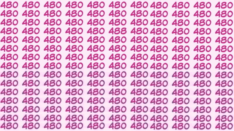 Gözleriniz ne kadar keskin? “480”lerin arasındaki “488”i 13 saniyede bulun