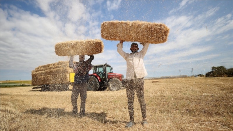 Trakya'da balya işçilerinin kavurucu sıcaktaki mesaisi zorluyor