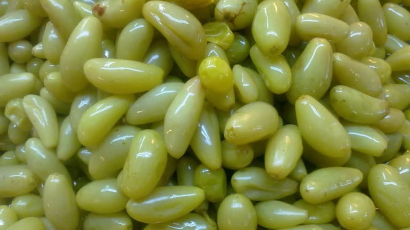 Ne salatalık, ne biber! Bu turşu çerez gibi gider...