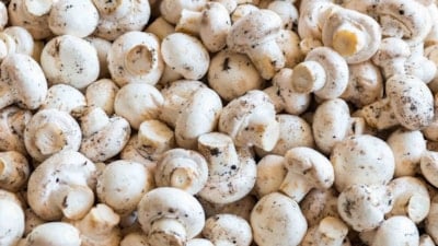 Salmonella tespit edildi! Marketlerde satılan mantarlar raflardan kalkıyor