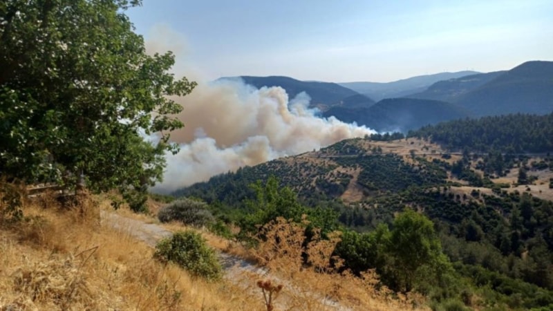 Bursa-Balıkesir sınırında orman yangını: Bir köy boşaltıldı