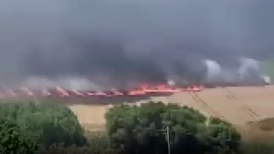 İstanbul'da buğday tarlasında korkutan yangın
