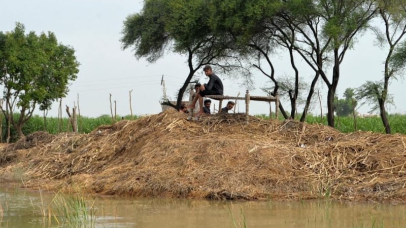 Pakistan'da sel felaketi: Ölenlerin sayısı 104'e çıktı