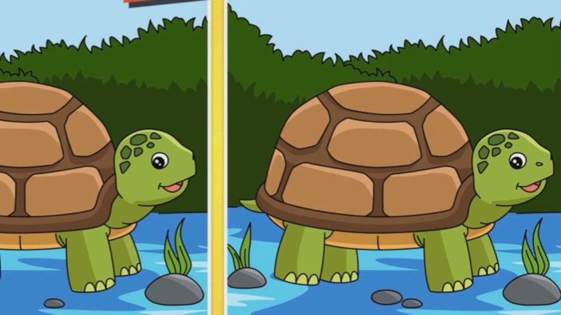 Dikkat testi: İki resim arasındaki 2 farkı 7 saniyede bulun!