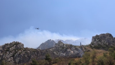 Hatay'da orman yangını