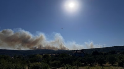 İzmir'de orman yangını