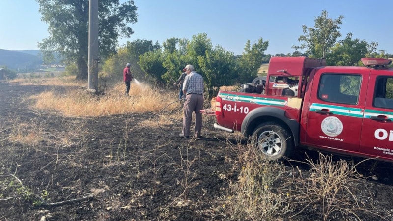Kütahya'da yüksek gerilim hattına çarpan kuş yangına neden oldu