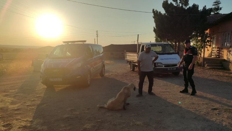 Yozgat'ta başıboş köpek çocuğa saldırdı