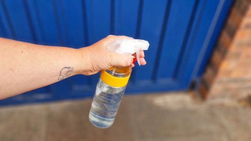 Ne ilaç ne tuz! Yazın kapıya sirke dökün, kışa kadar rahat edin