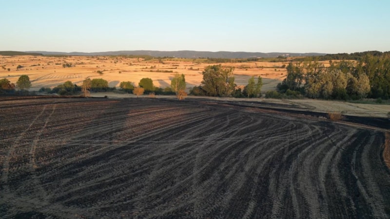 Tekirdağ’da 2 bin 500 dönüm ekili alan yandı