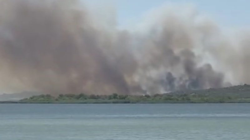 Bursa'da iki ayrı noktada orman yangını