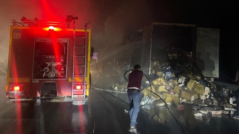 Erzincan'da seyir halindeki tır alev aldı