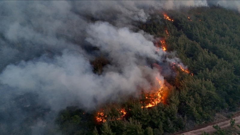 Tekirdağ yangını söndürüldü mü? 16 Temmuz 2025 Tekirdağ yangını son durum...