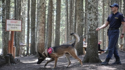 Bursa'da ormanlarda jandarmadan 24 saat motorize devriye