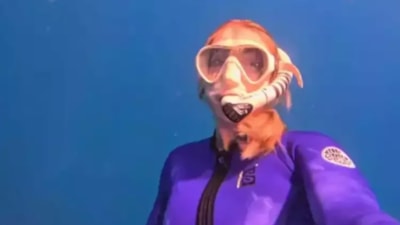 Yasemin Kay Allen'in bitmeyen tatili! Bu defa okyanusa girdi