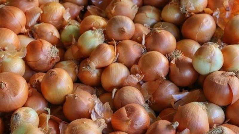 Soğanlarda bakteri alarmı! Tüm marketlerden toplatılıyor