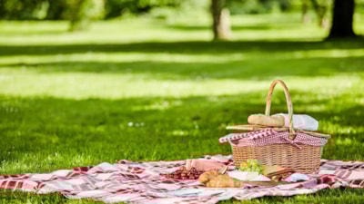 Yeşile yakın, gürültüye uzak: İstanbul piknik rehberi