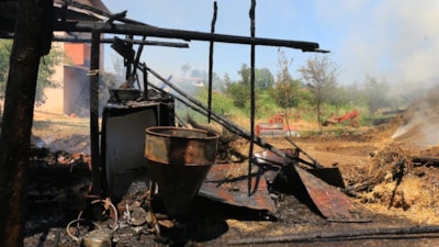 Tokat'ta çıkan yangında tonlarca buğday yandı, 7 büyükbaş öldü