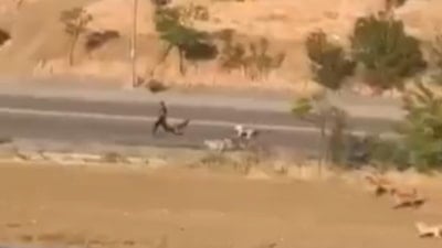 Ankara'da bir genç, başıboş köpeklerin saldırısından son anda kurtuldu