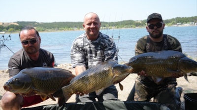 Bilecik'te yakaladıkları dev sazanları yeniden suya bıraktılar