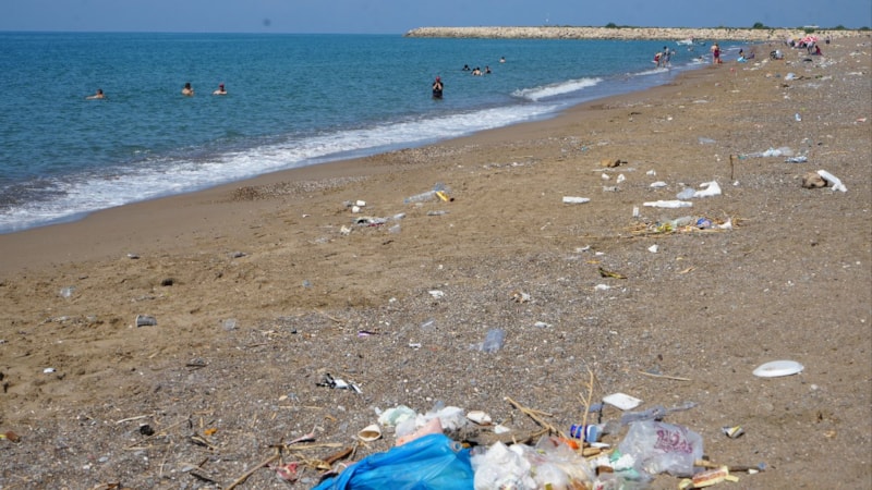 Antalya'da carettaların yaşam alanı çöplüğe döndü