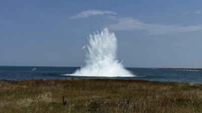 Ordu'nun denizinde bulunan şüpheli cisim mayın çıktı