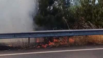 Düzce’de düğün konvoyunda yakılan meşale çamlık alanı yaktı