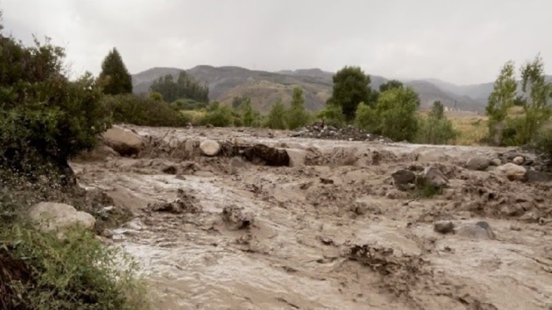 Erzincan'da sağanak yağış sele neden oldu