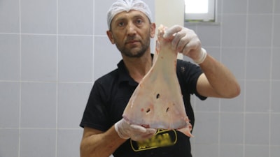 Sivas’ta kasapların yüzyıllık geleneği: Hayvan kemikleri büyüye karşı kırılıyor