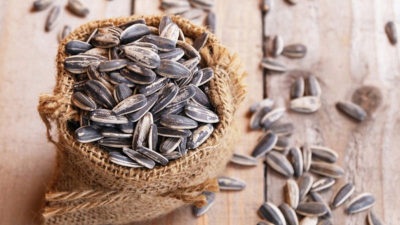 Her gün bir avuç çekirdek yerseniz ne olur? Faydaları saymakla bitmiyor